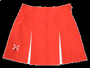 Moss Vale Dragonflies Netball Club skirt