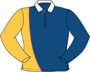 ladies fit rugby jersey