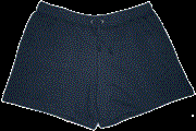 TNF training shorts