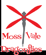 Moss Vale Dragonflies Netball Club